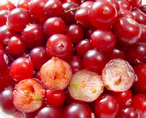 cranberries - culture and cuisine recipe series with chef jes: berry apple compote