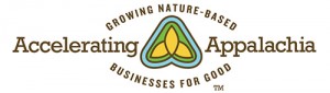 accelerating appalachia logo